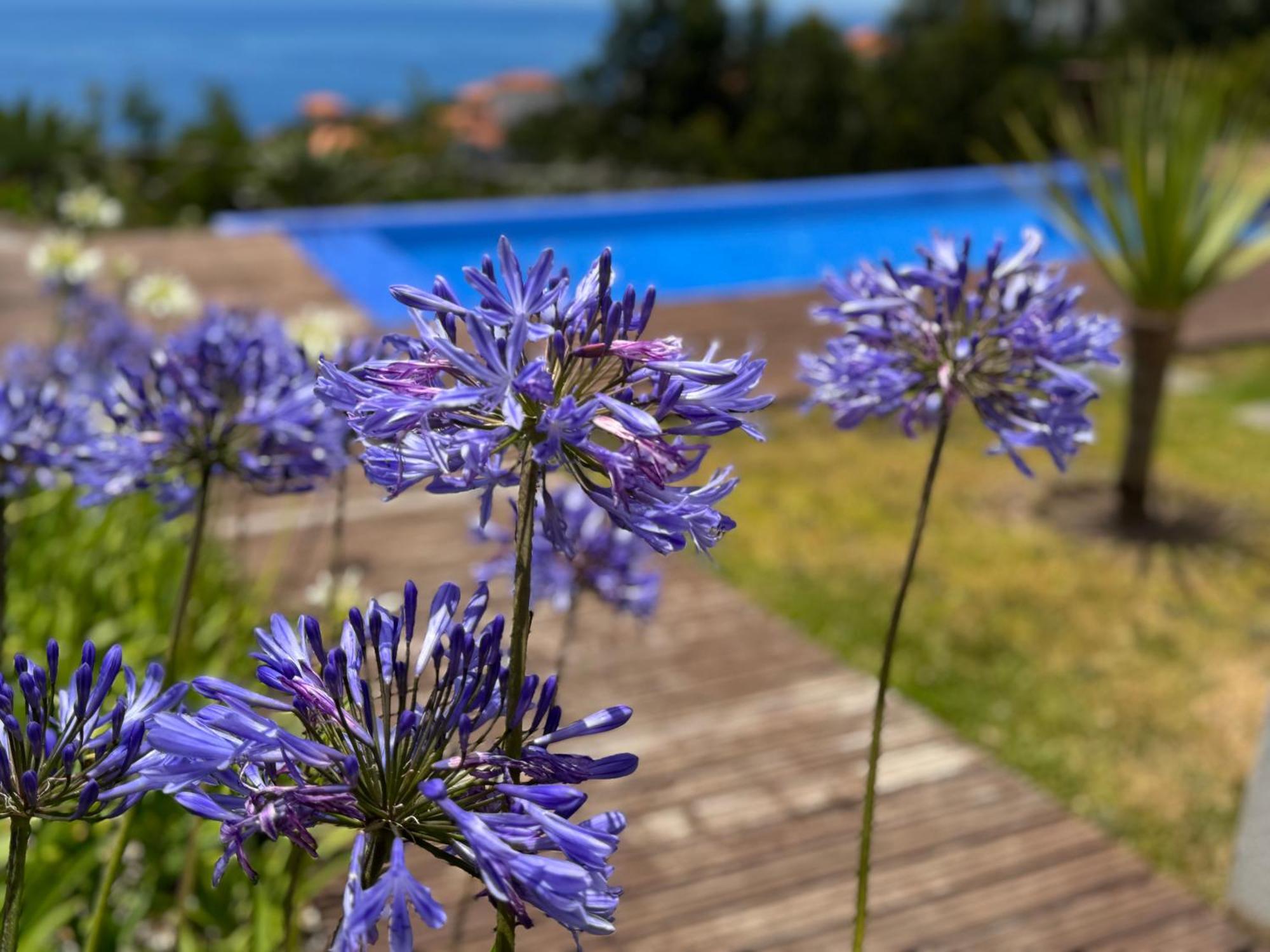 Modular Vila Calheta  Exterior foto